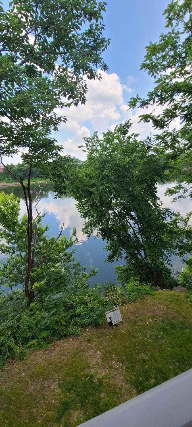 River view