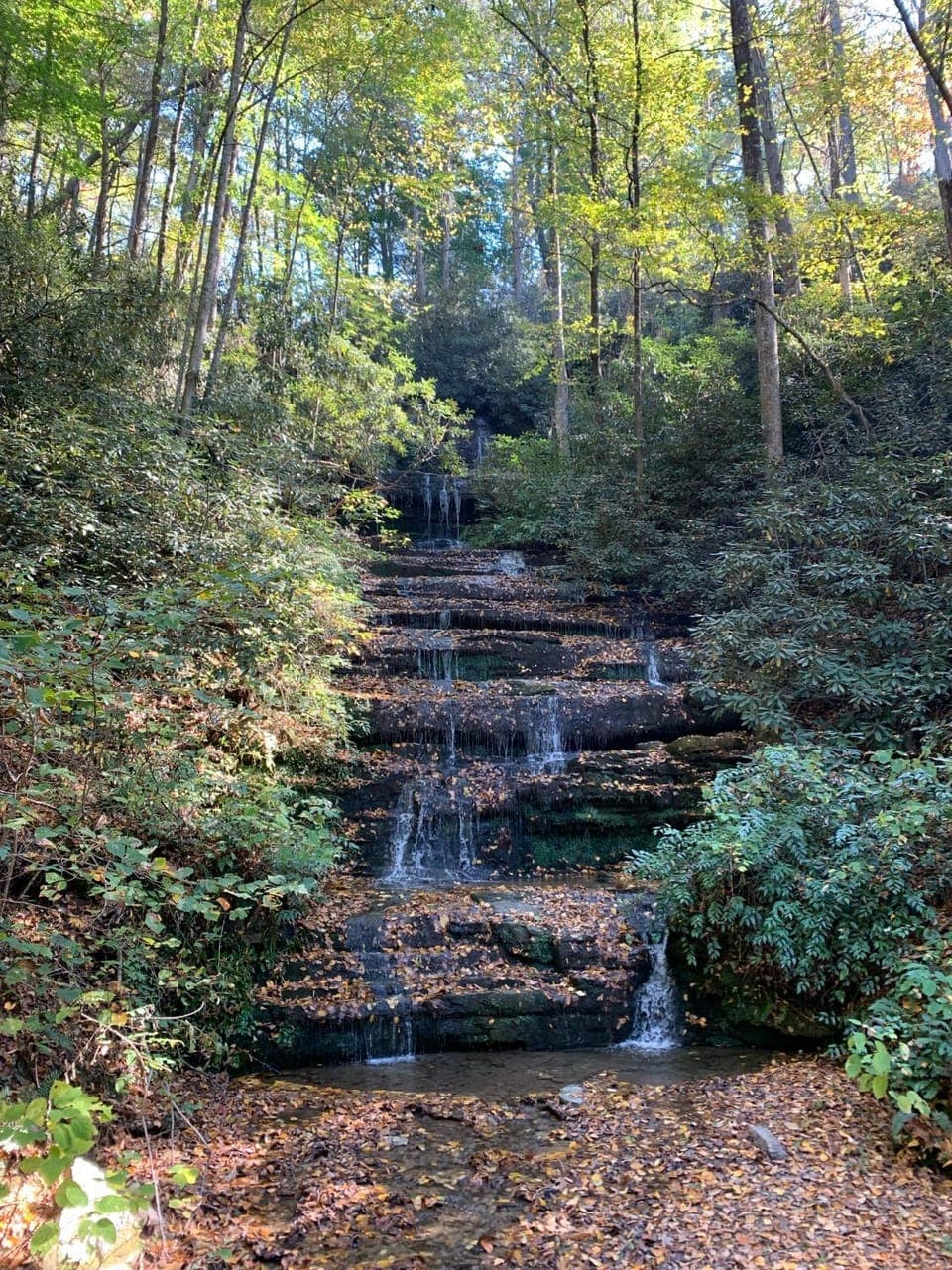 Natural landscape