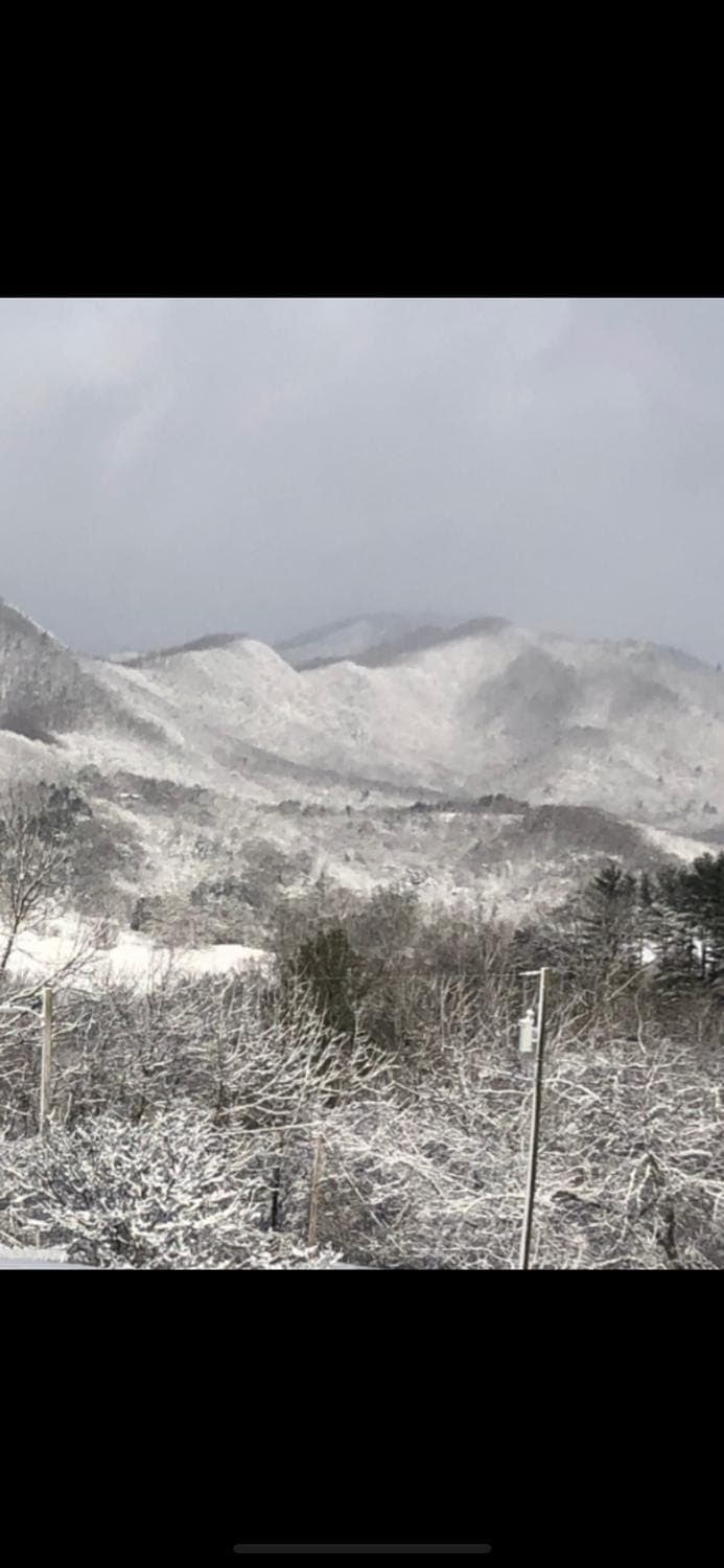 Winter, Mountain view