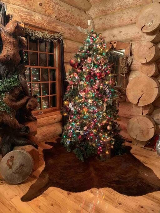 LUXURIOUS TN Mtn Lodge- Sleeps 22+, Hiking & Lake House in Watauga Lake