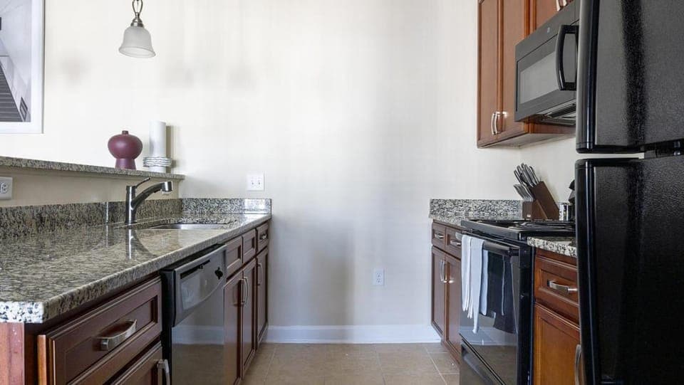 Landing Modern Apartment with Amazing Amenities (ID1263X608) Apartment in South Carolina