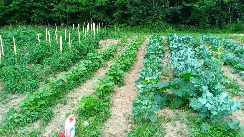 Garden, On site