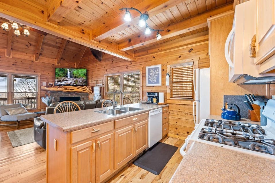 Kitchen or kitchenette, dishwasher, stove