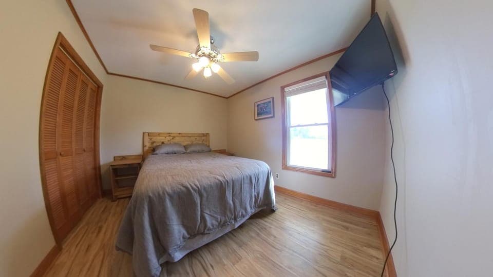 Bed, Photo of the whole room, Bedroom