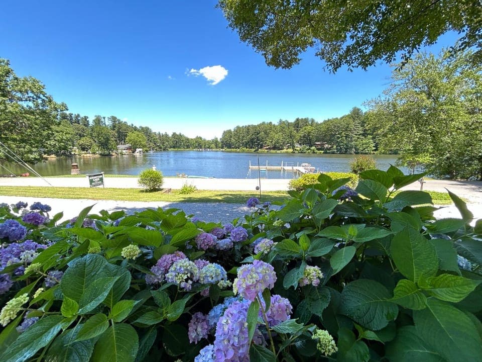 Natural landscape, Lake view