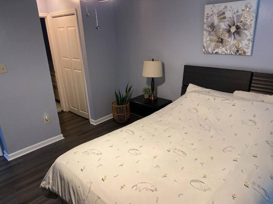 Welcome International Guests-Medical Residents-free shuttle downtown-full kitchen- free parking Apartment in Memphis