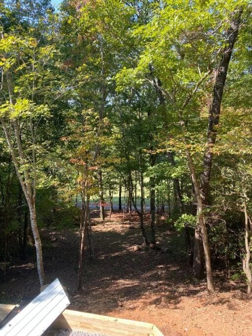 Helen, GA Bear Paw Haus 4 bdrm, sleeps 10, fire pit, pool table, on Golf course House in Helen