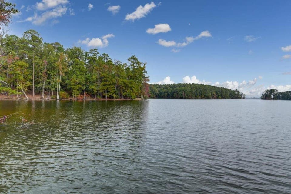 Lake view