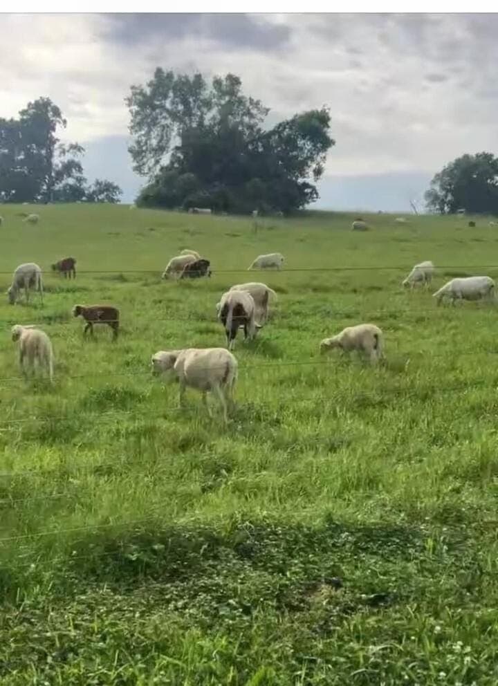 Natural landscape