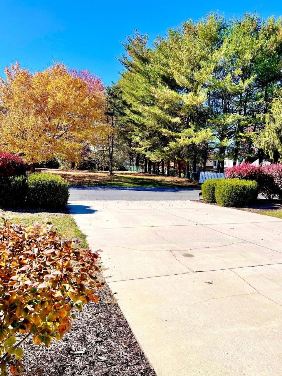 Natural landscape, Garden