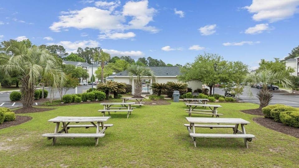 Spring, Day, Natural landscape, Garden, Garden view, Location
