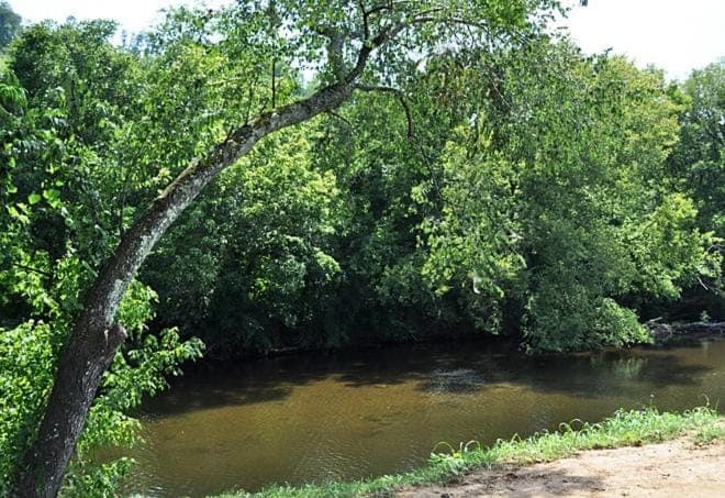 River view