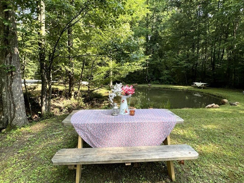 Unique Vacations at this Wonderful Vintage Caravan in Franklin, North Carolina House in Franklin