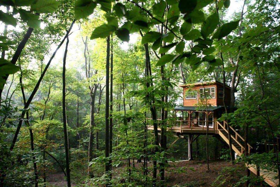 Secluded Treetop Oasis, Original Treehouse in Tennessee House in Tennessee