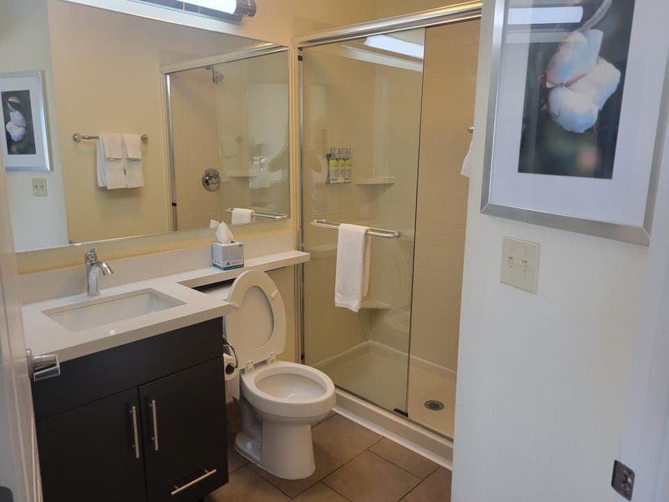 Shower, Bathroom
