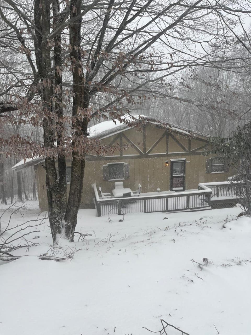Winter