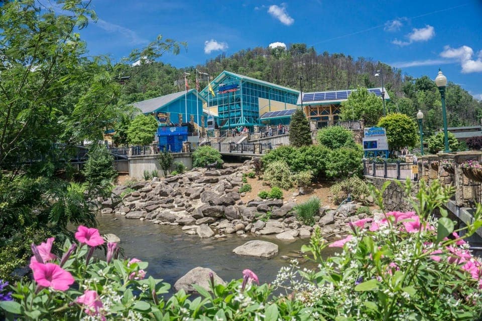 Buckhorn Springs by American Patriot Getaways House in Pittman Center