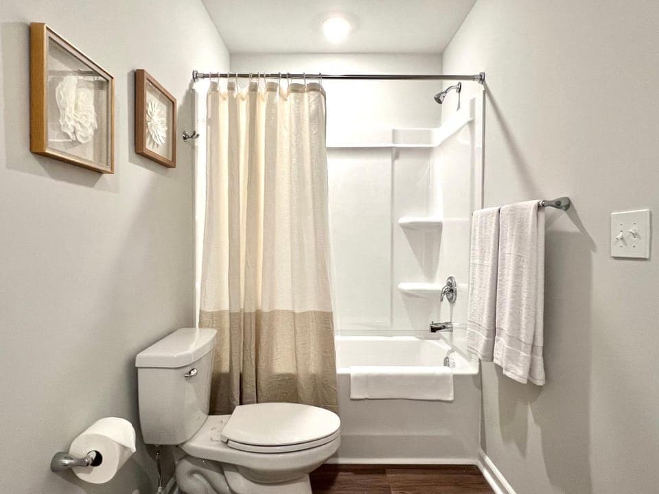 Shower, Toilet, Bathroom, Bath, towels