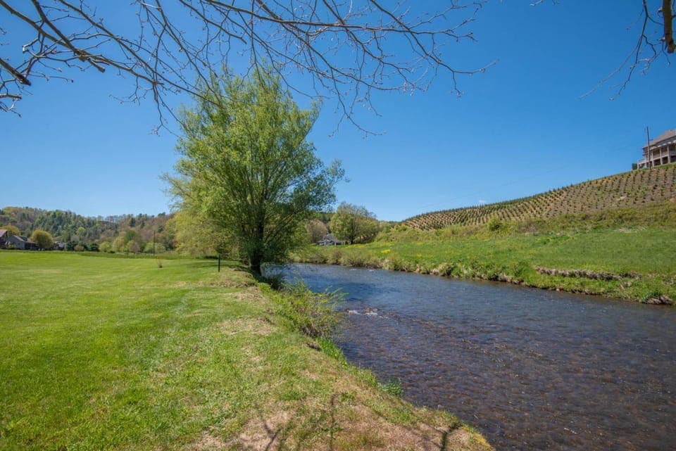River Access, VIEWS, Sleeps 8, Fire Pit House in Watauga