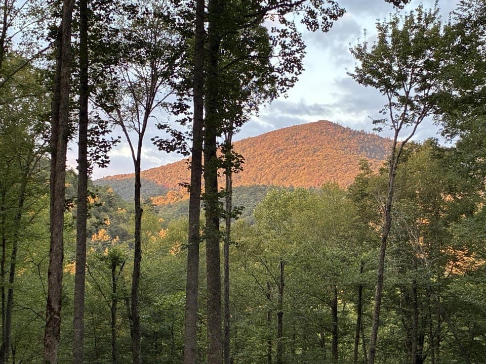 Of the Pines House in Tennessee
