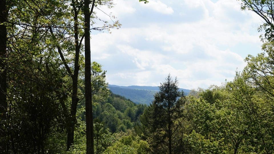 1 Sweet Seclusion House in Brushy Fork