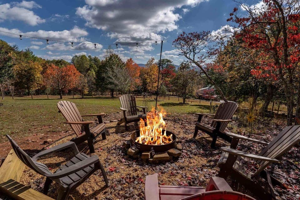 Spring, Day, Natural landscape, BBQ facilities, Garden, Garden view, flat iron