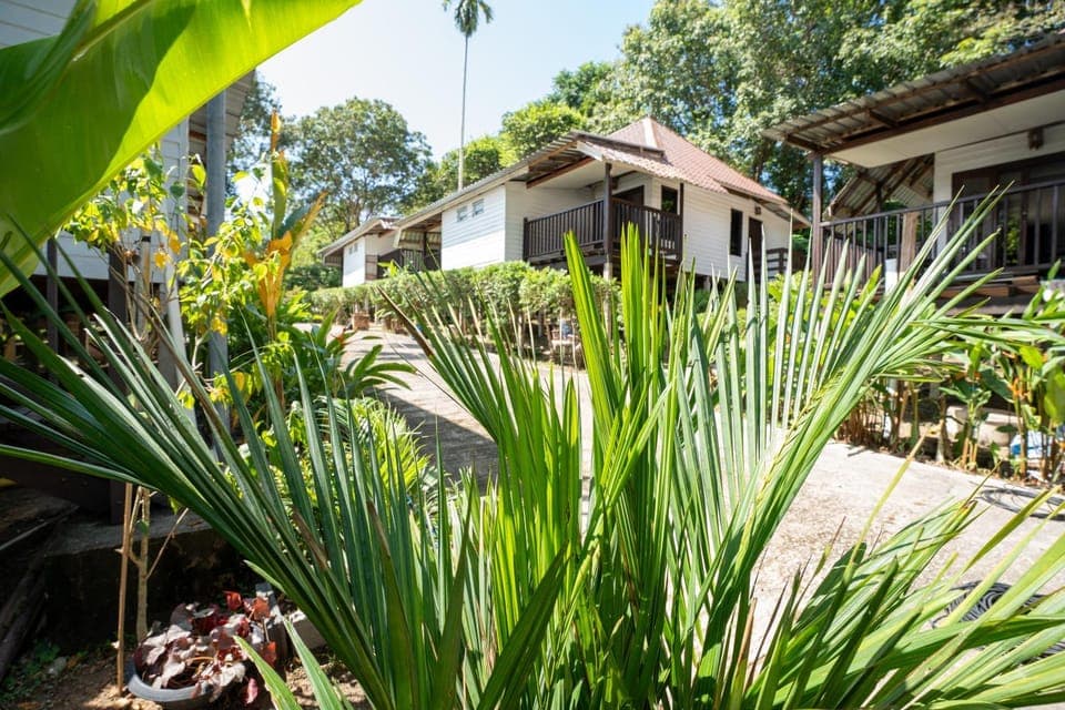 Garden view