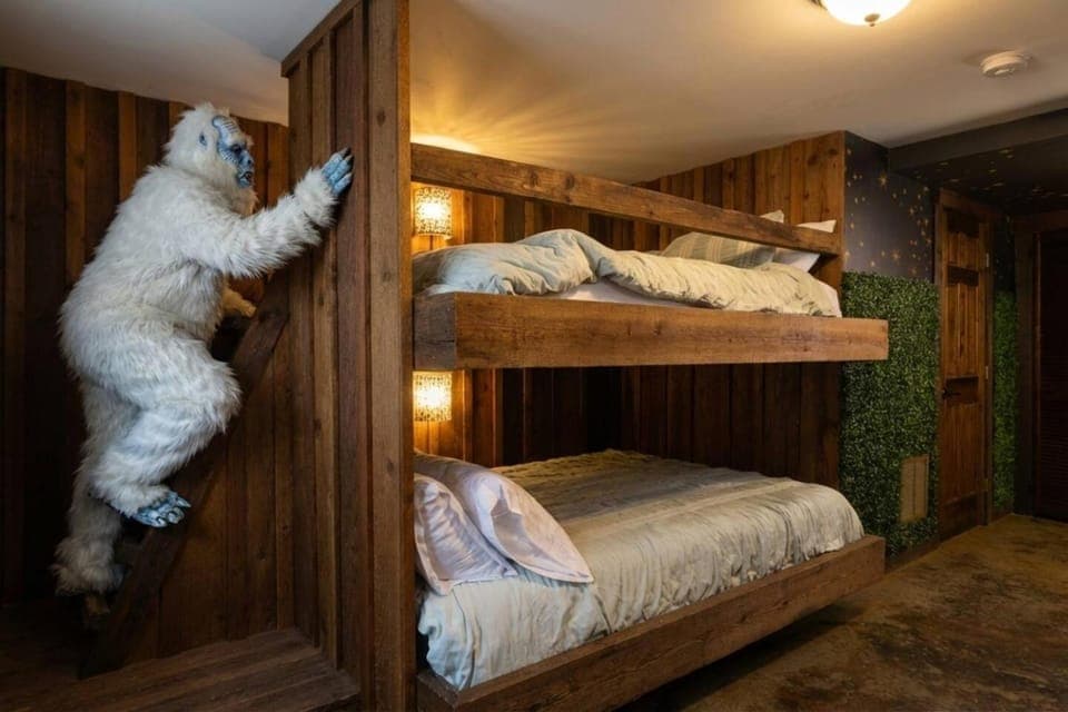 Bed, Photo of the whole room, Bedroom, bunk bed, furniture