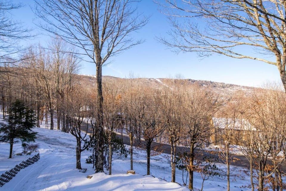 The Buc's Den Chalet in Beech Mountain