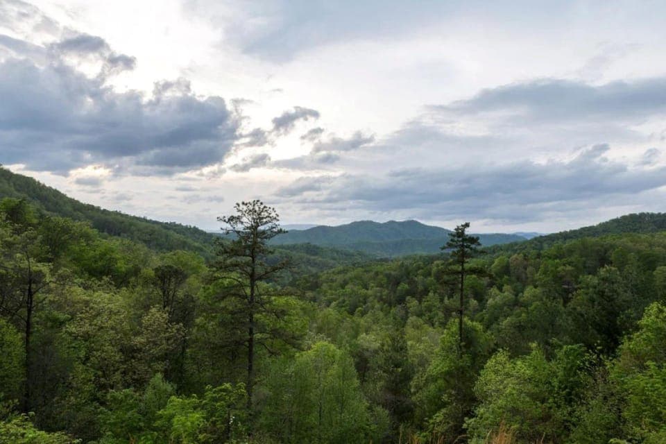 Mountain view