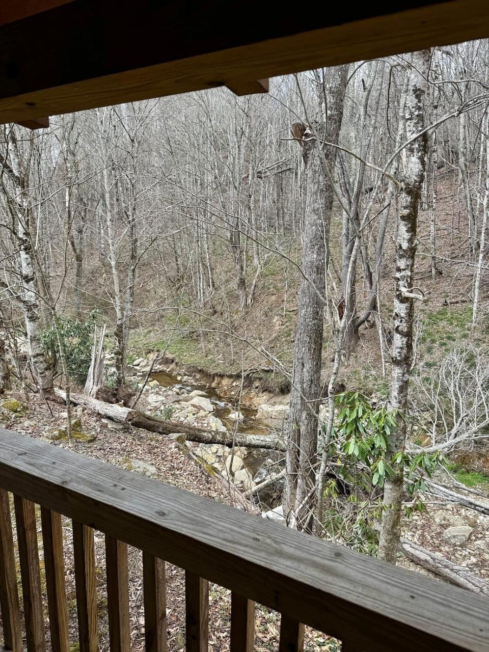 Creekside Blessings Cabin Cabin in Banner Elk
