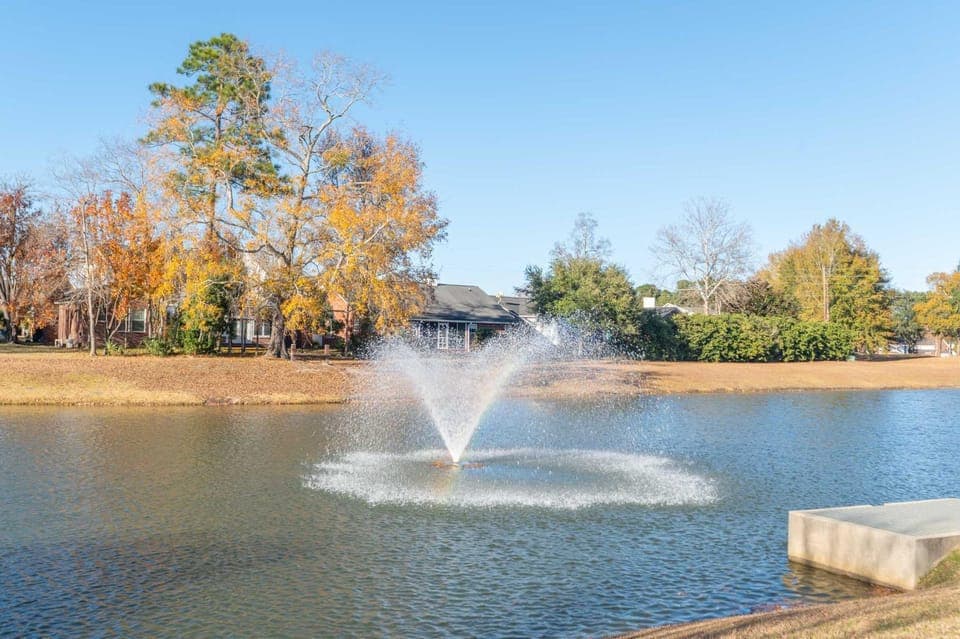 Lake view