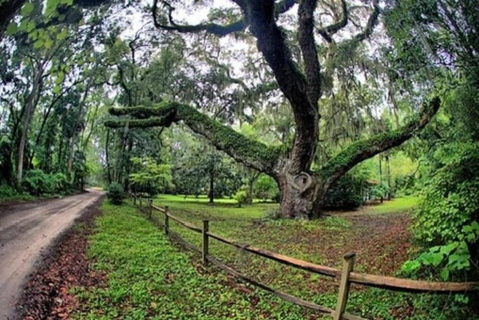Treehouse at BootLegger Cove Bed and Breakfast in Bluffton