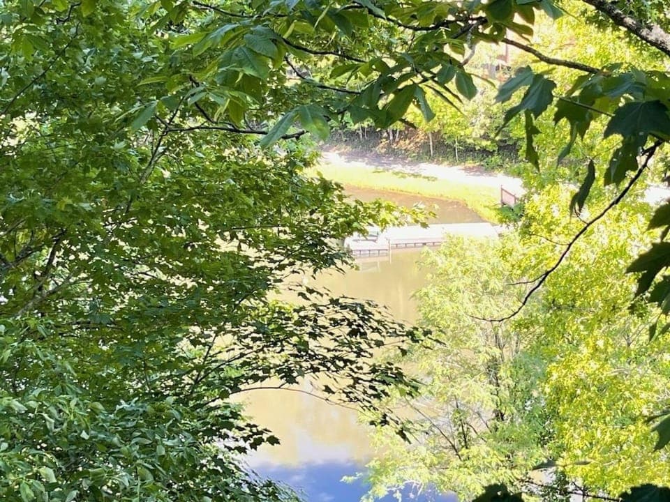 Lake view