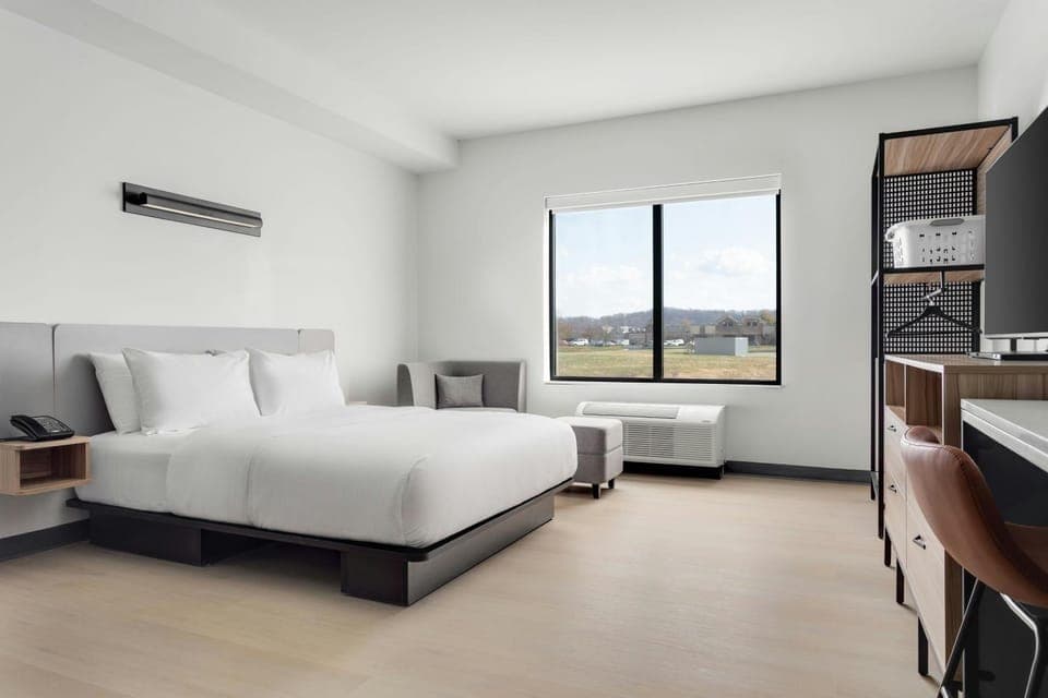 Photo of the whole room