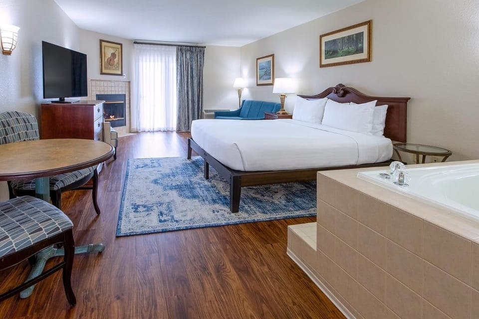 Communal lounge/ TV room, Bed, Photo of the whole room, Seating area, Bedroom