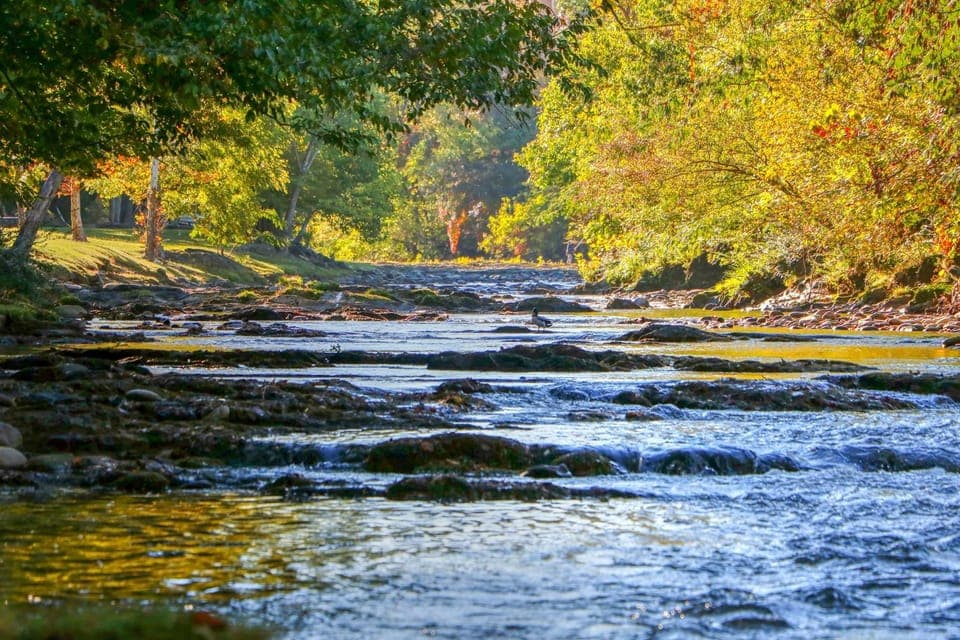 Natural landscape, River view