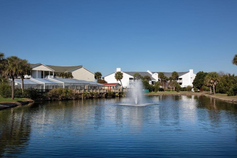 Lake view