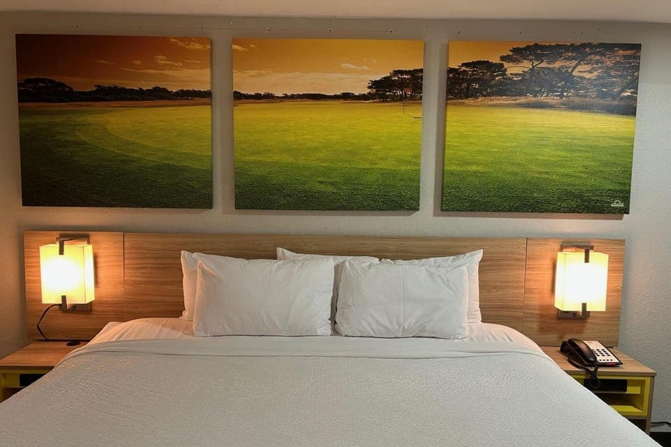 Photo of the whole room