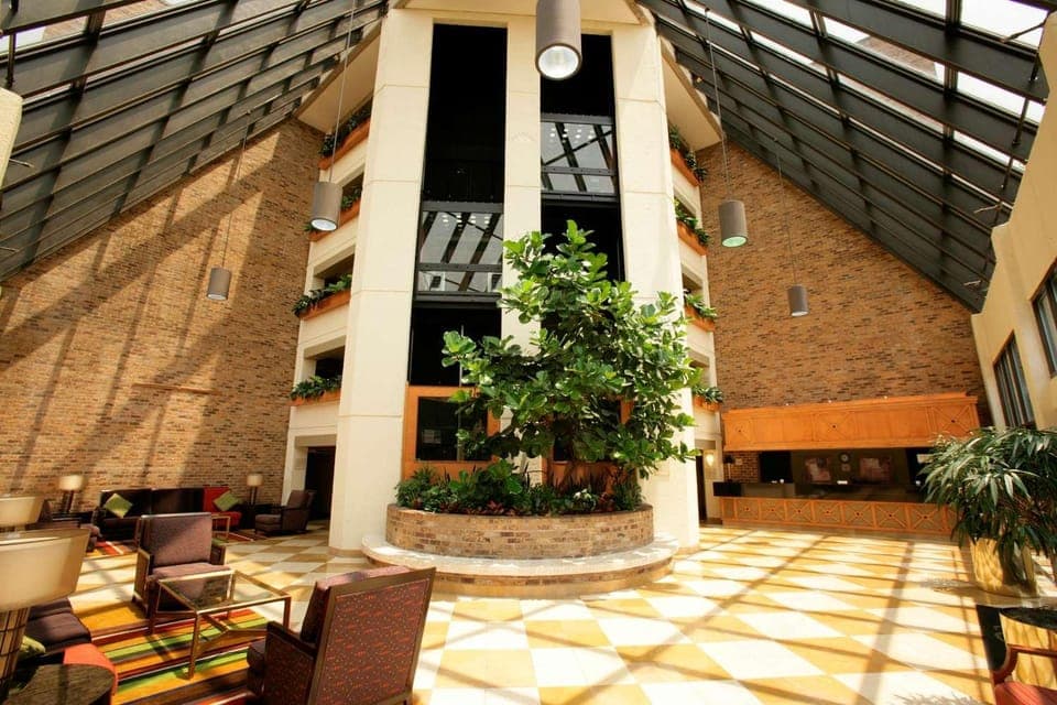 Lobby or reception