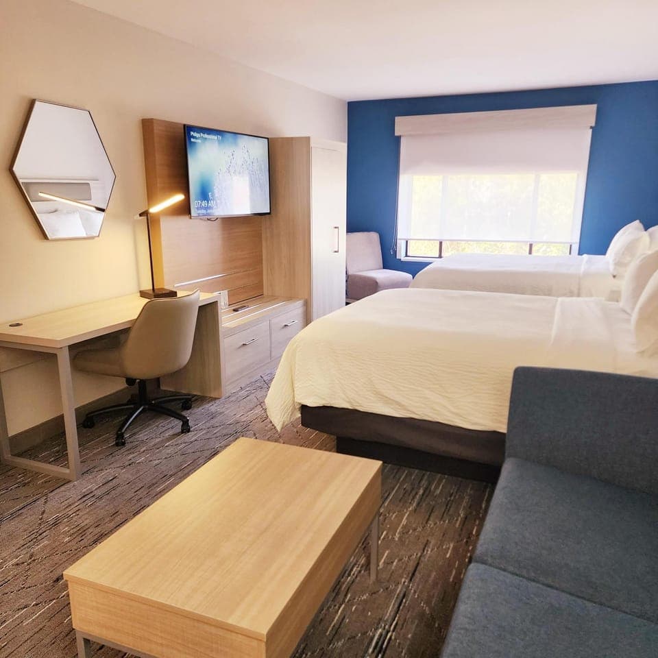 Bed, TV and multimedia, Seating area