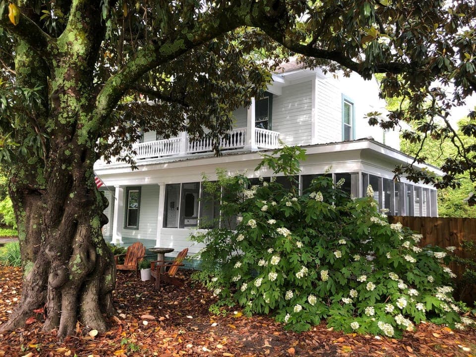 Property building, Garden, Street view