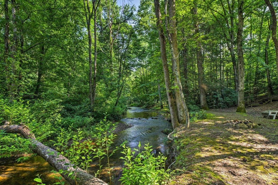 5 Acres, Backyard Creek! Cabin in Tellico Plains Cabin in Tennessee