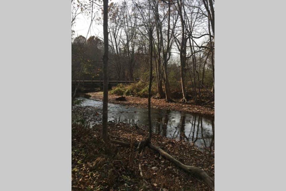 Serenity Views Comfort - Close to City & Parkway! House in Buncombe County