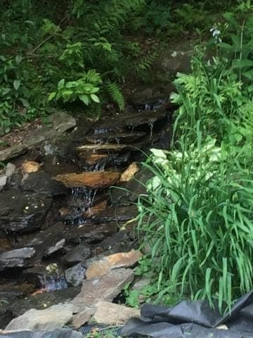 Natural landscape