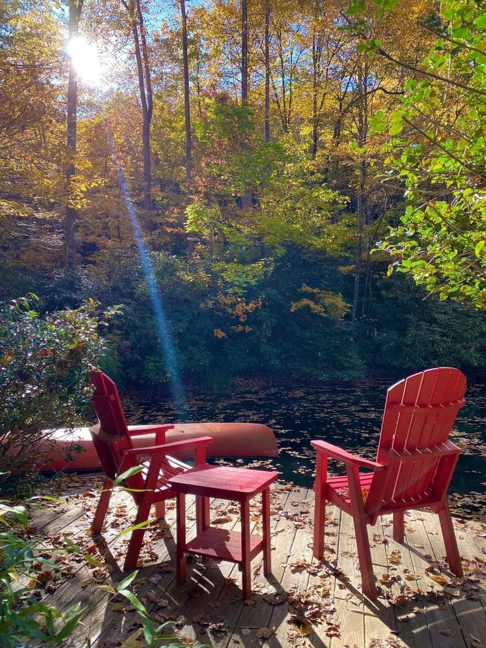 Day, Natural landscape, View (from property/room), Autumn, Lake view