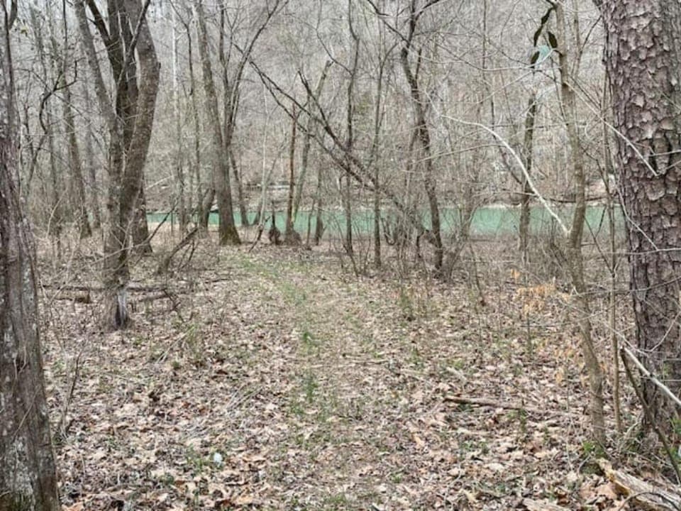No Wake Zone Chalet in Tennessee