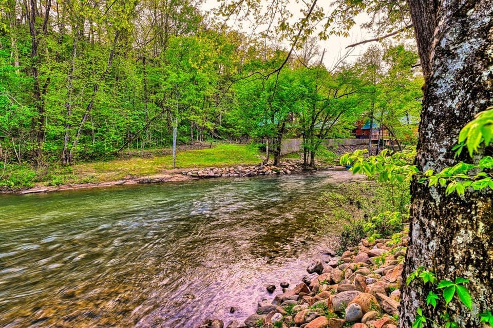 Spring, Day, Natural landscape, River view