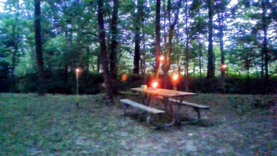 Natural landscape, Dining area
