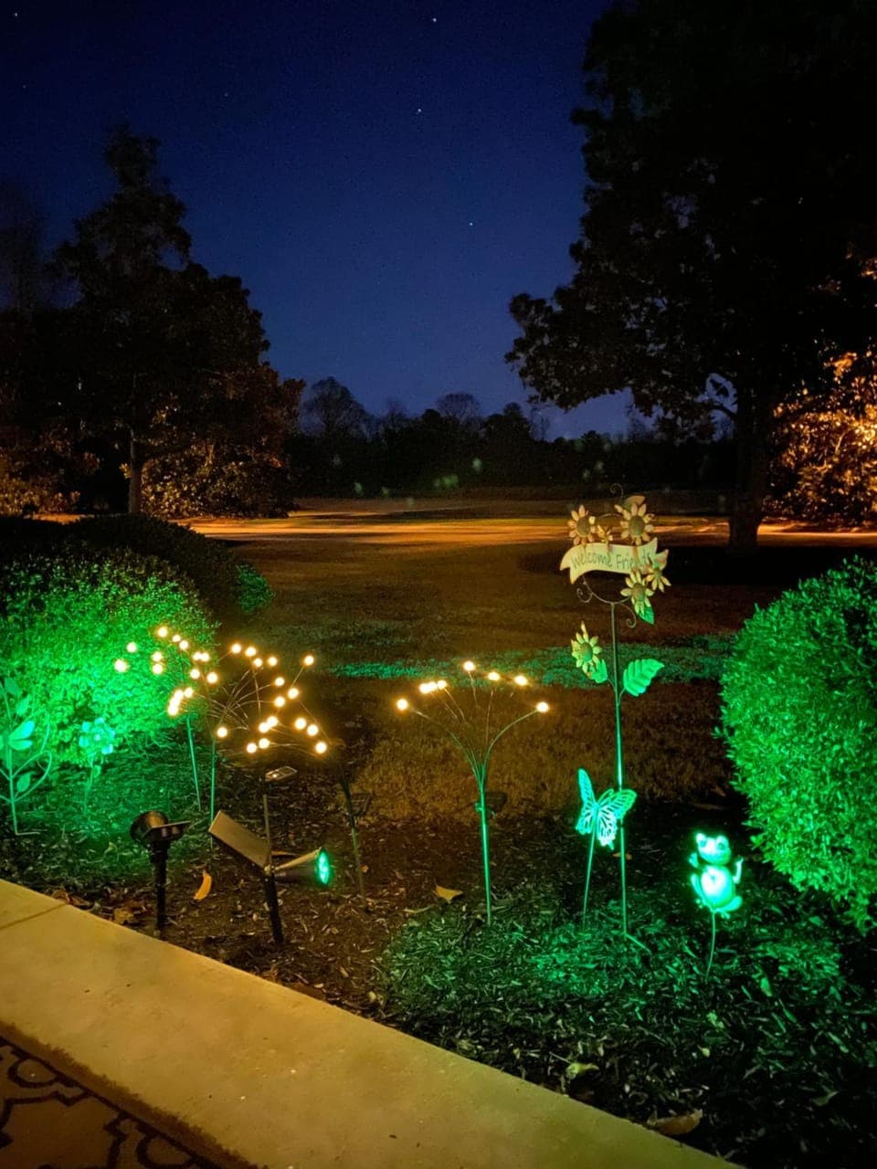 Patio, Living room, Decorative detail, Garden view